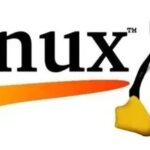 Essential for Operations: Differences Between 'ps -ef | grep java' and 'jps -l' in Linux