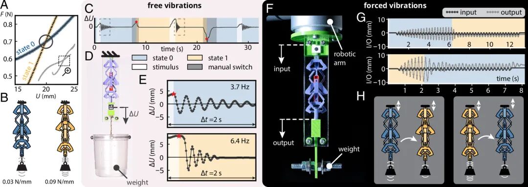 Revolutionary Insights! The Amazing 3D Printed Structure That Shortens When Stretched
