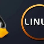 Mastering the Linux File System: The cp Command and Practical Applications 2