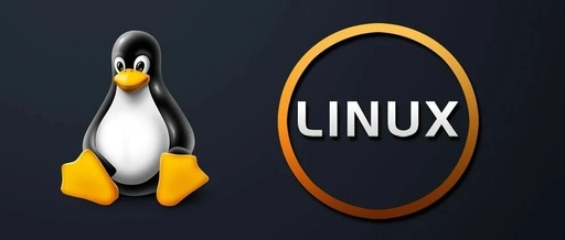 Mastering the Linux File System: The cp Command and Practical Applications 2