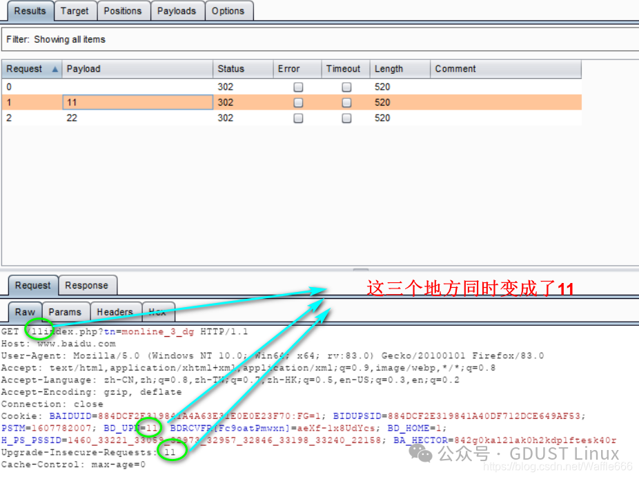 Linux Lesson 5: Web Security Vulnerabilities