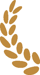 Why is the Company's Wi-Fi So Slow?