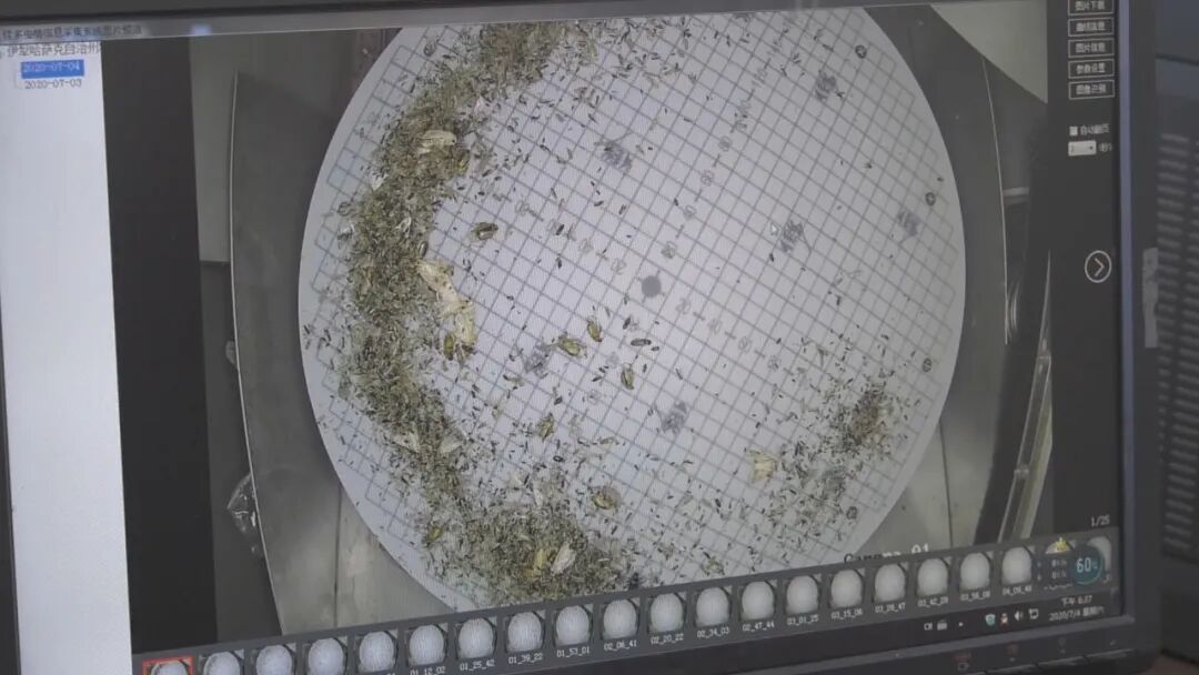 63rd Regiment Establishes IoT Pest Prediction and Control System to Support Smart Agriculture Development