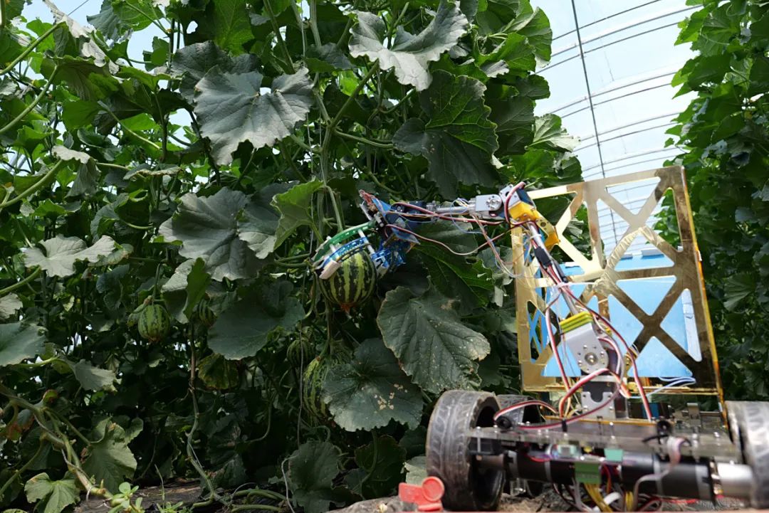 Summer Social Practice Activities of the Intelligent Robot Laboratory Team from the School of Automation Engineering (Part II)