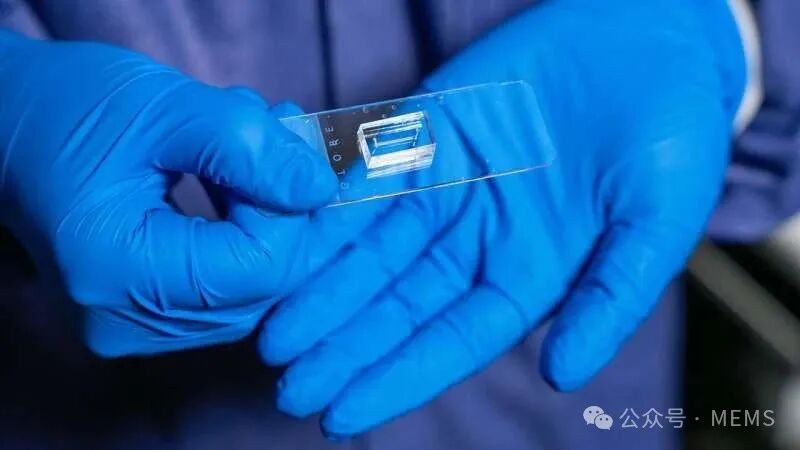 Customized Vascular Chips Simulating Real Vascular Structures to Aid Vascular Disease Research