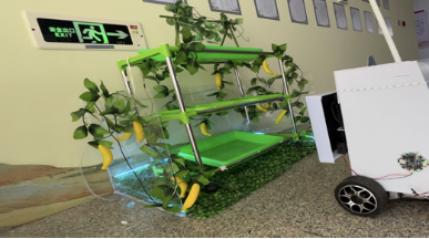 Introduction to the Innovation and Entrepreneurship Training Program for University Students in IoT Engineering (1)