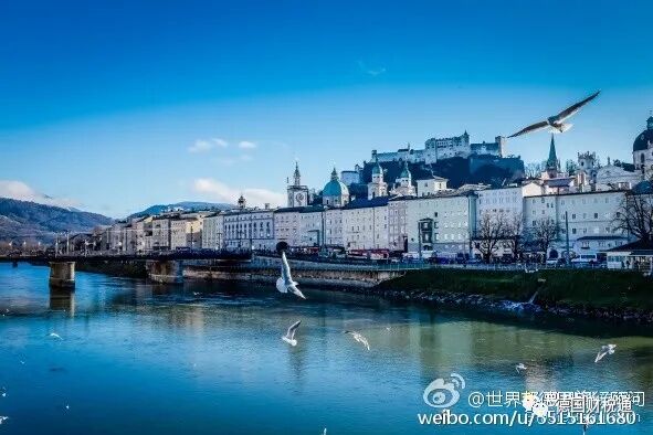 Overview of the Development of the German Chip Industry (Part 1)