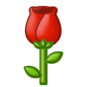 Understanding the Many Meanings of 'Arm'