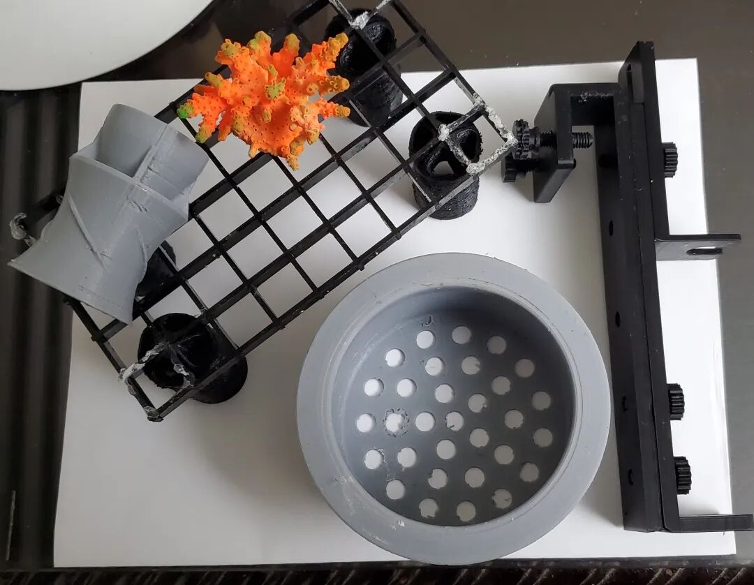 Applications of 3D Printing in Aquariums