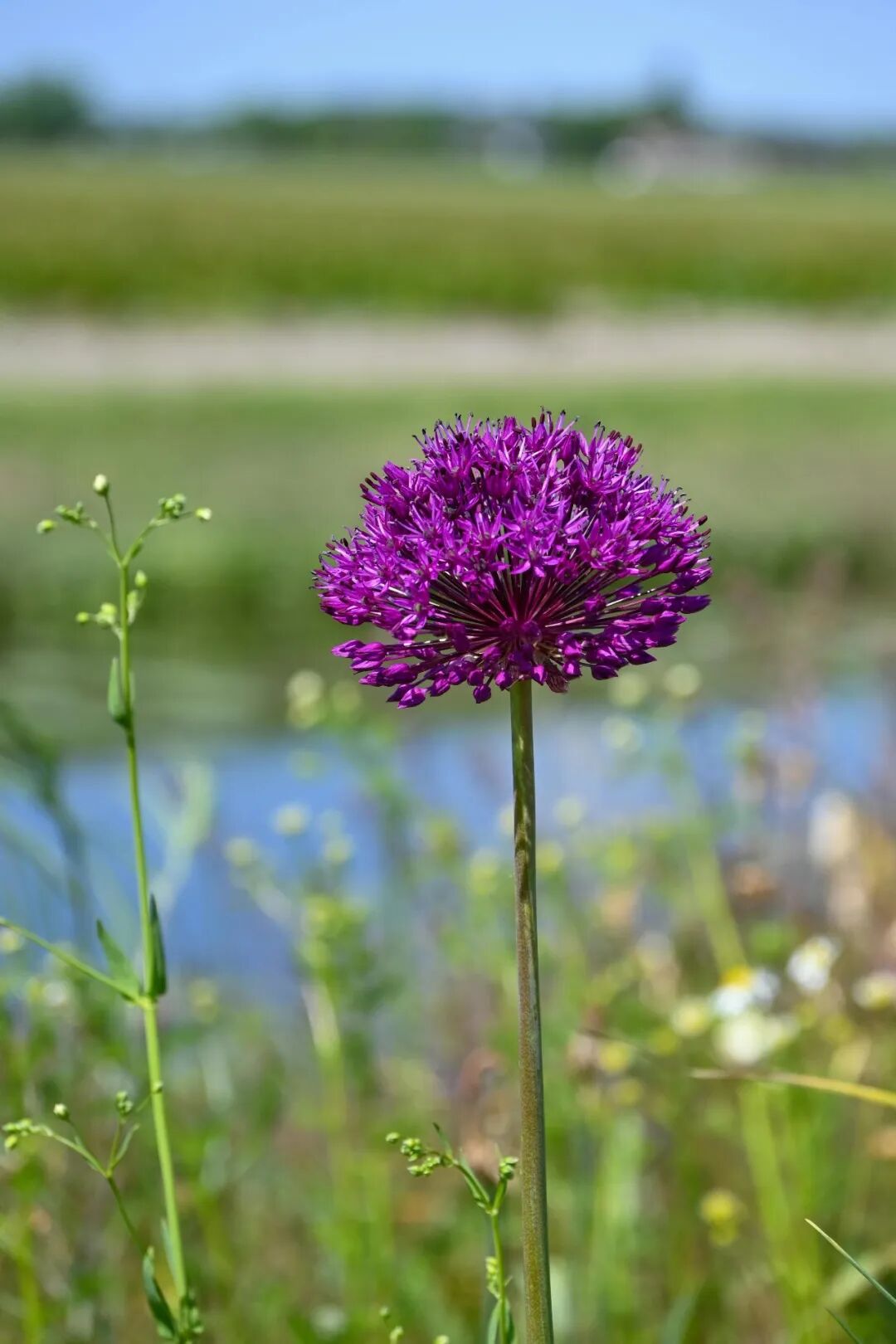 ICC Opinion: Is the Original Standby Letter of Credit Required When Making a Demand? R821(TA802rev)