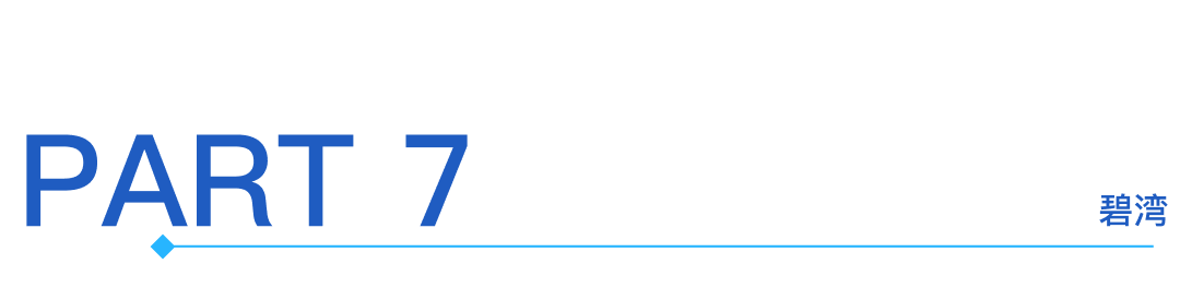Interpretation of Rockchip (603893) 2024 Annual Report: Significant Growth in Integrated Circuit Revenue Drives Substantial Increase in Company Revenue and Main Business Profit