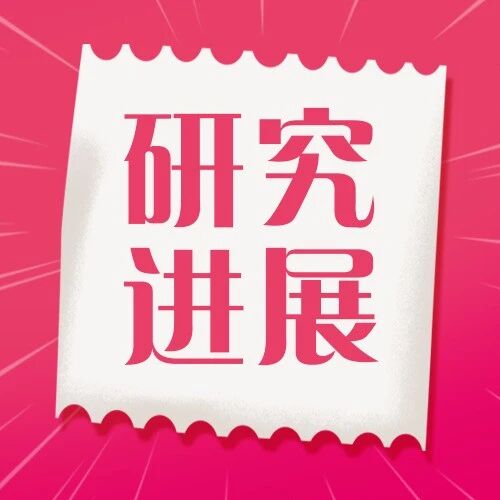 ERICA Study: Preventing Nausea and Vomiting Associated with Novel HER2 ADC Treatment