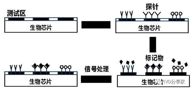 Principles of POCT Technology | Chemiluminescence, Biosensors, Microfluidics, Immunochromatography...