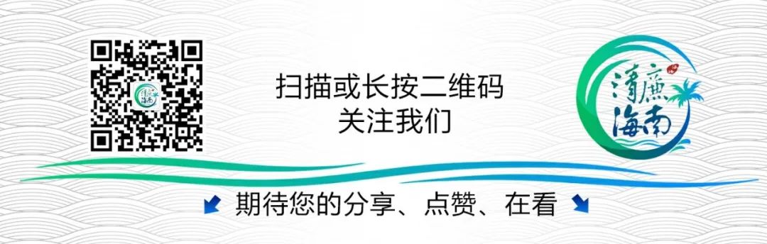 Haikou: Implementing Embedded Supervision to Enhance Efficiency in Epidemic Prevention