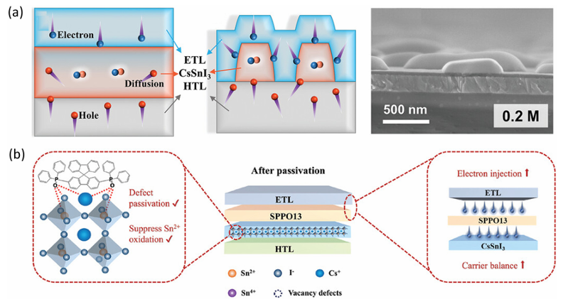 Review by Wang Jianpu & Huang Wei from Nanjing University of Technology: Tin Halide Perovskite Light Emitting Diodes
