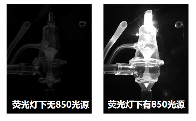 Professor Zhang Ling: Advances and Breakthroughs in Severe Blood Purification Technology