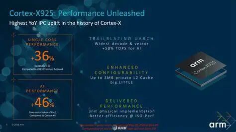 The Performance of Giant Baby ARM CPUs Lags Behind Mobile Chips