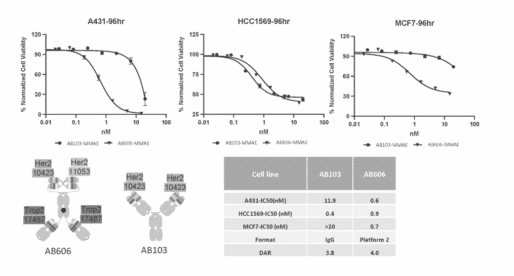 The Arrival of Quadruple Antibody-Drug Conjugates (ADCs)