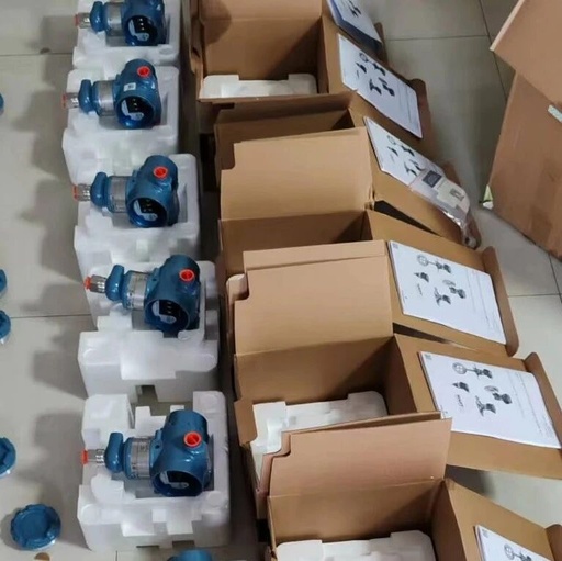 Rosemount 3144P Temperature Transmitter Functional Modules