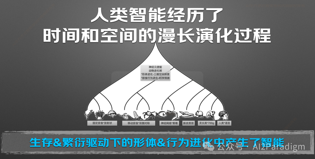 Understanding the Boundaries of Intelligence: Do Large Language Models Have Agency?