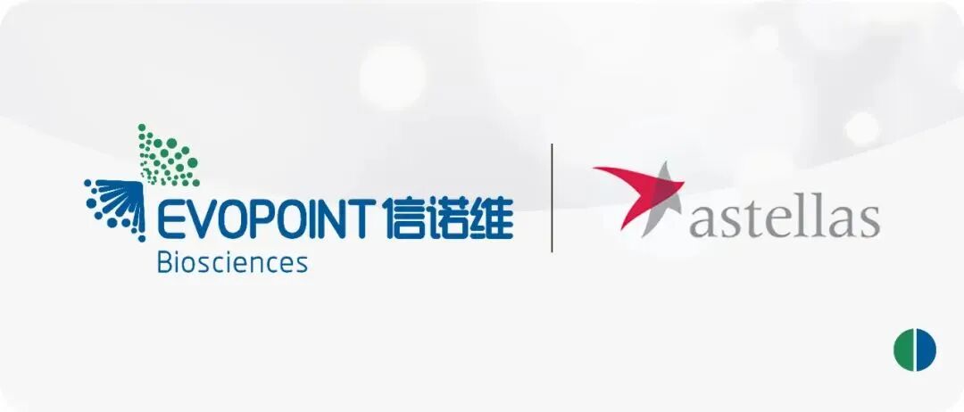 TF ADC Competition Accelerates: Zai Ding Files for Cervical Cancer Approval, Xin Nuo Wei Launches Phase III for Pancreatic Cancer