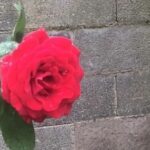 Installation and Configuration of PostgreSQL Debugger Plugin on Debian Linux