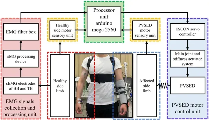 Bilateral Rehabilitation System Using Bilateral or Unilateral Assistive Robots Developed by Kagawa University Research Team