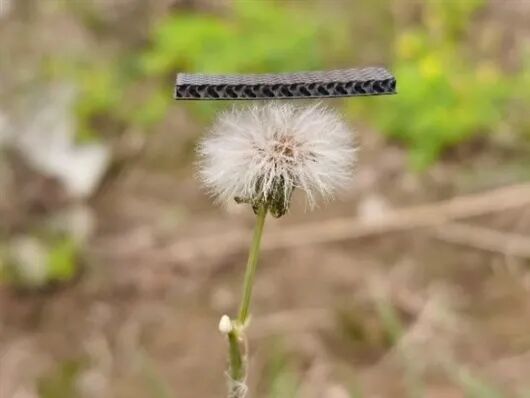 New Breakthrough in Electrode Materials by Academician Huang Wei's Team: Successful Preparation of Graphite Foam Using 3D Printing