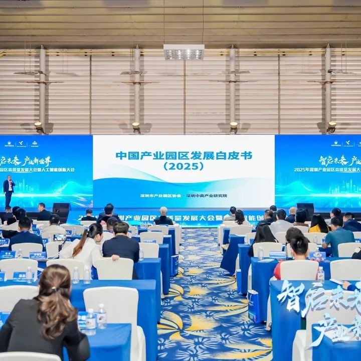 2025 Market Outlook for China's MCU Industry