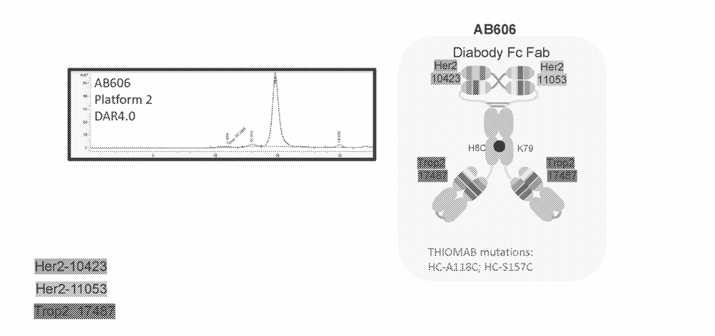 The Arrival of Quadruple Antibody-Drug Conjugates (ADCs)