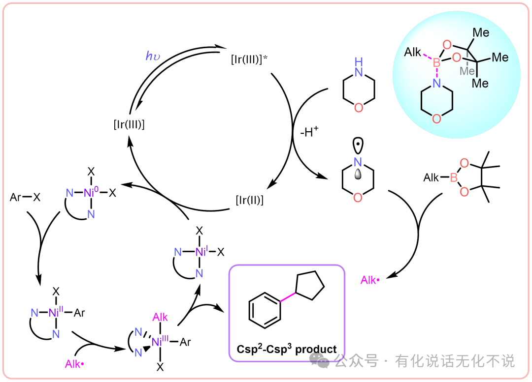 Goodbye Morpholine Radical