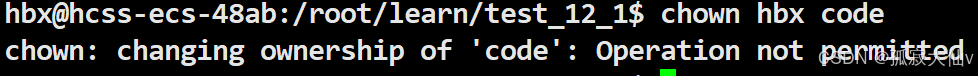 The Dark Side of Linux Permissions: Why Root Abuse Can Lead to Disaster?