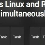 Experimental Hybrid Deployment of Heterogeneous Multicore OS on Milk-V DuoS