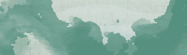 Which is Better: Vitamin C for 2 Yuan or for Hundreds?