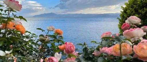 Niche but Powerful C++ Libraries: Boost Your Development Efficiency!