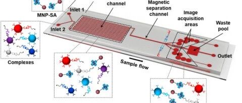 AI-Mediated Encoding-Decoding for Multiplexed Microfluidic Digital Immunoassay Based on Computer Vision