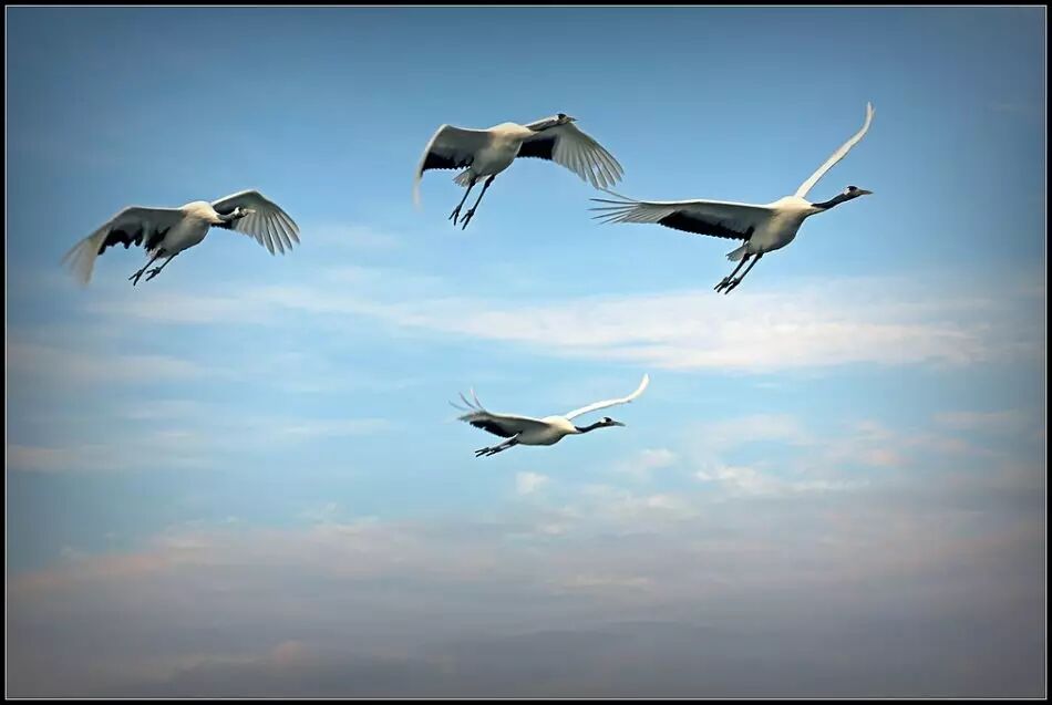 Photography | Yang Xiaoli and His Students: Photography is a Lifelong Passion