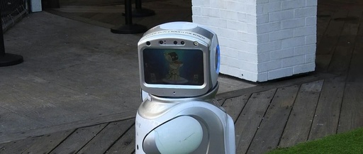 The Delivery Robots in Hotels: A Loss of 800 Million in Three Years