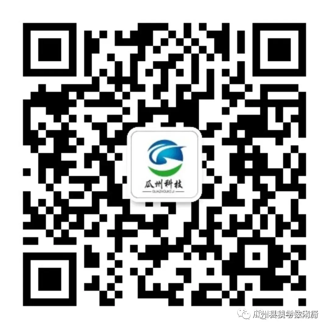 Chinese Scientists Develop the World's Smallest and Lightest Wireless Amphibious Robot