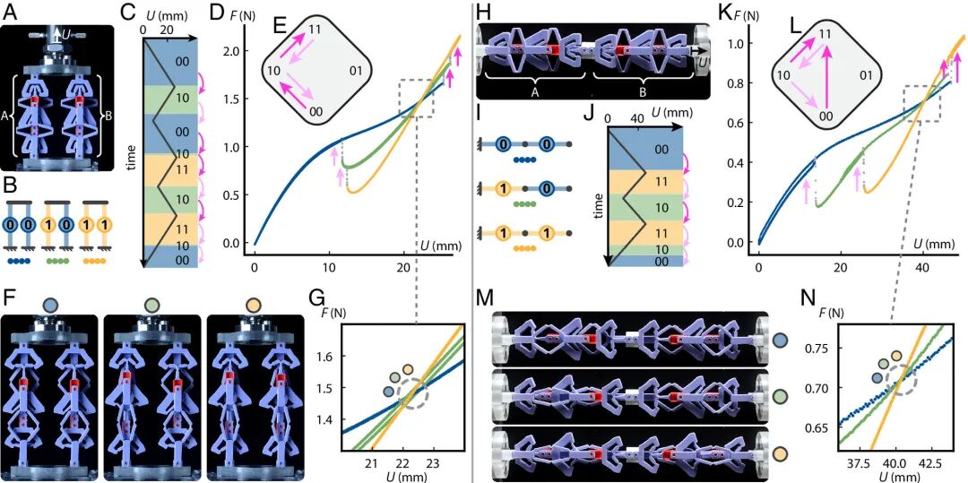 Revolutionary Insights! The Amazing 3D Printed Structure That Shortens When Stretched
