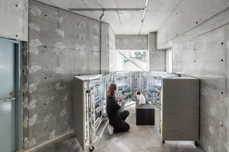 Design of a 16㎡ 3D Printing Store: Creating Unique Memories for You and Your Beloved Dog