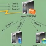 Understanding the Differences and Use Cases of iptables and Nginx Forwarding
