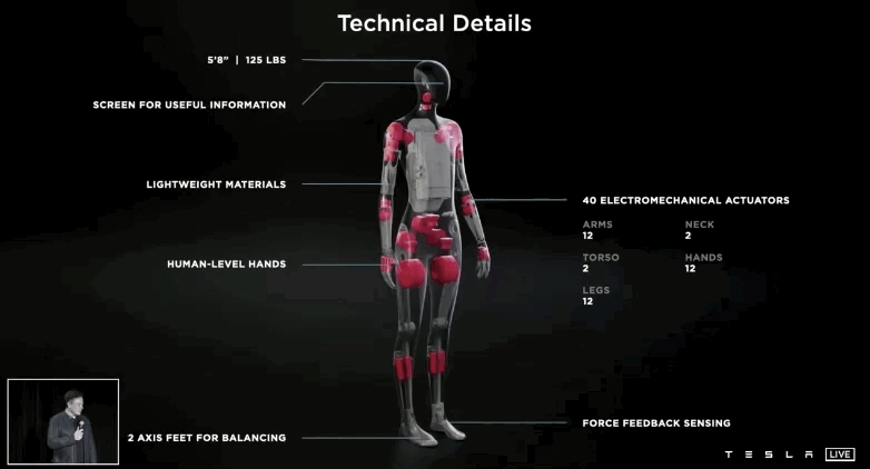 AI Robots: The Ultimate Future for Automotive Companies?
