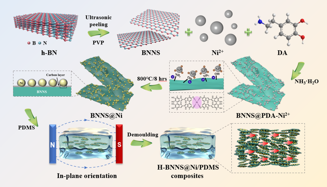 High In-Plane Thermal Conductivity and Excellent Photo-Thermal Performance of Polydimethylsiloxane Composites