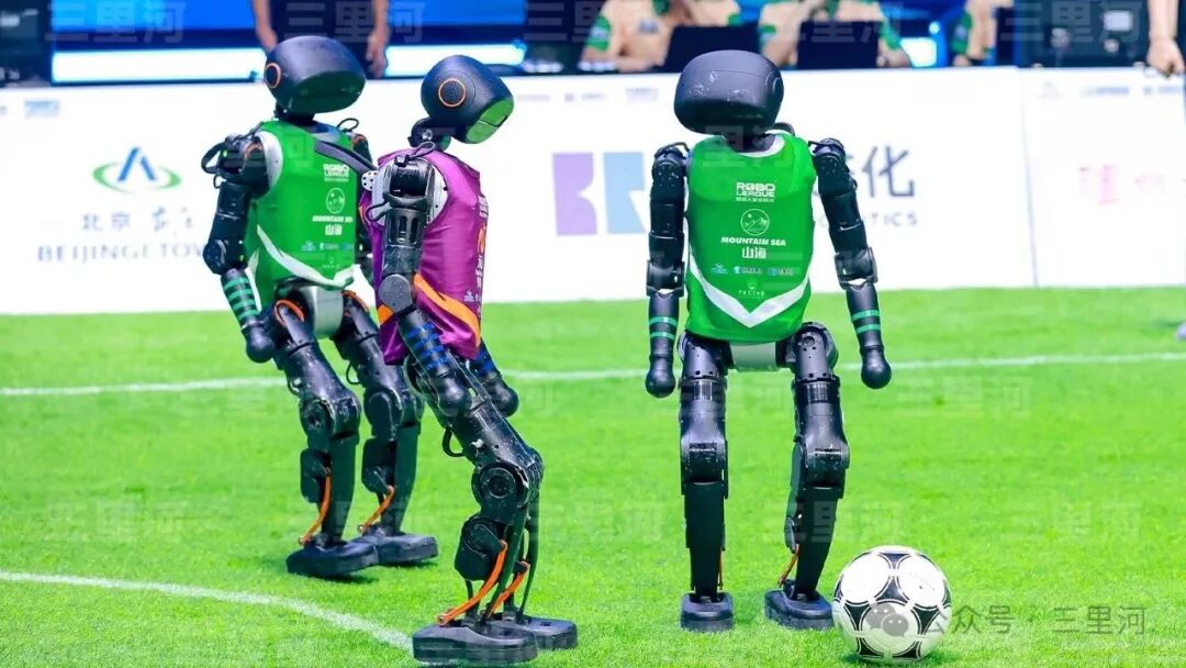 Chinese Robots: 'Southern Fist, Northern Kicks'