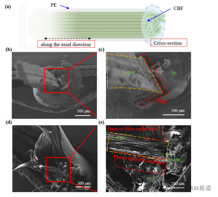 3D Printing Preparation and Performance of Bamboo Fiber Composites
