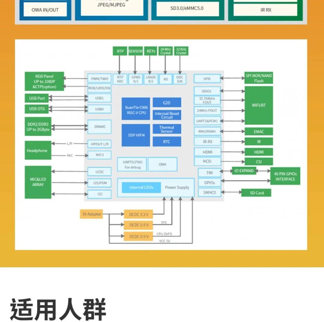DshanLite-RV Minimal Board: Domestic Allwinner RISC-V C906 Supports Linux RTOS for RISC-V Architecture Development - The Preferred Choice for DIY Product Design