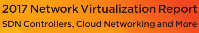 2017 Network Virtualization Report