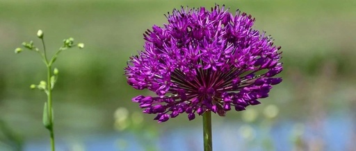 ICC Opinion: Is the Original Standby Letter of Credit Required When Making a Demand? R821(TA802rev)