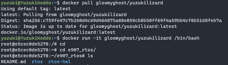 Detailed Development and Usage Methods for RISC-V E907 Core on Allwinner V85x